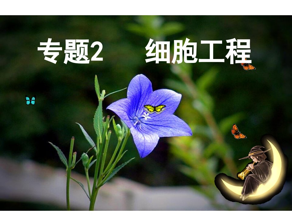 生物：2.1《植物细胞工程》课件(新人教版选修3)