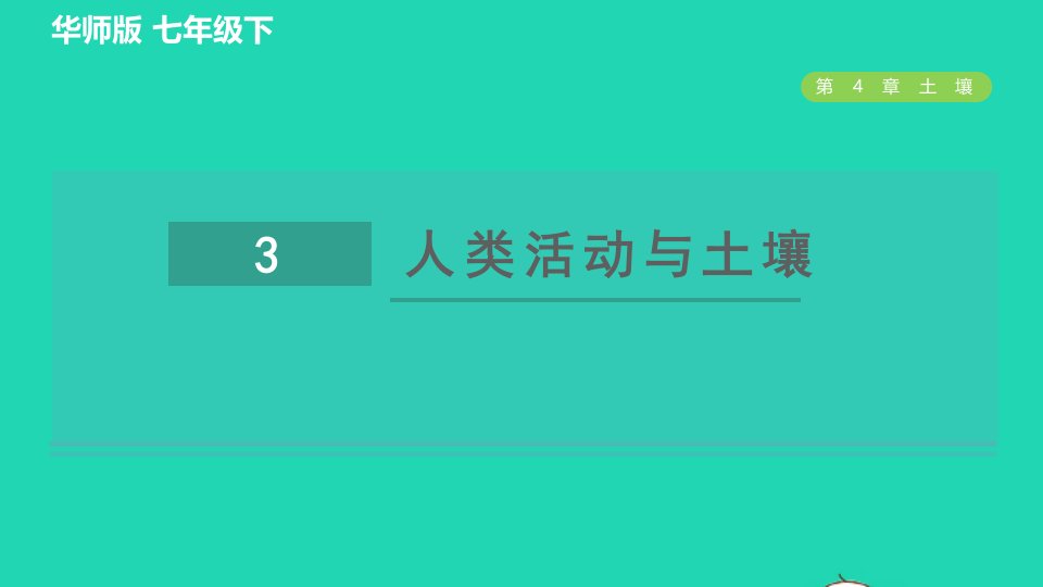 2022九年级科学下册第4章土壤3人类活动与土壤习题课件新版华东师大版