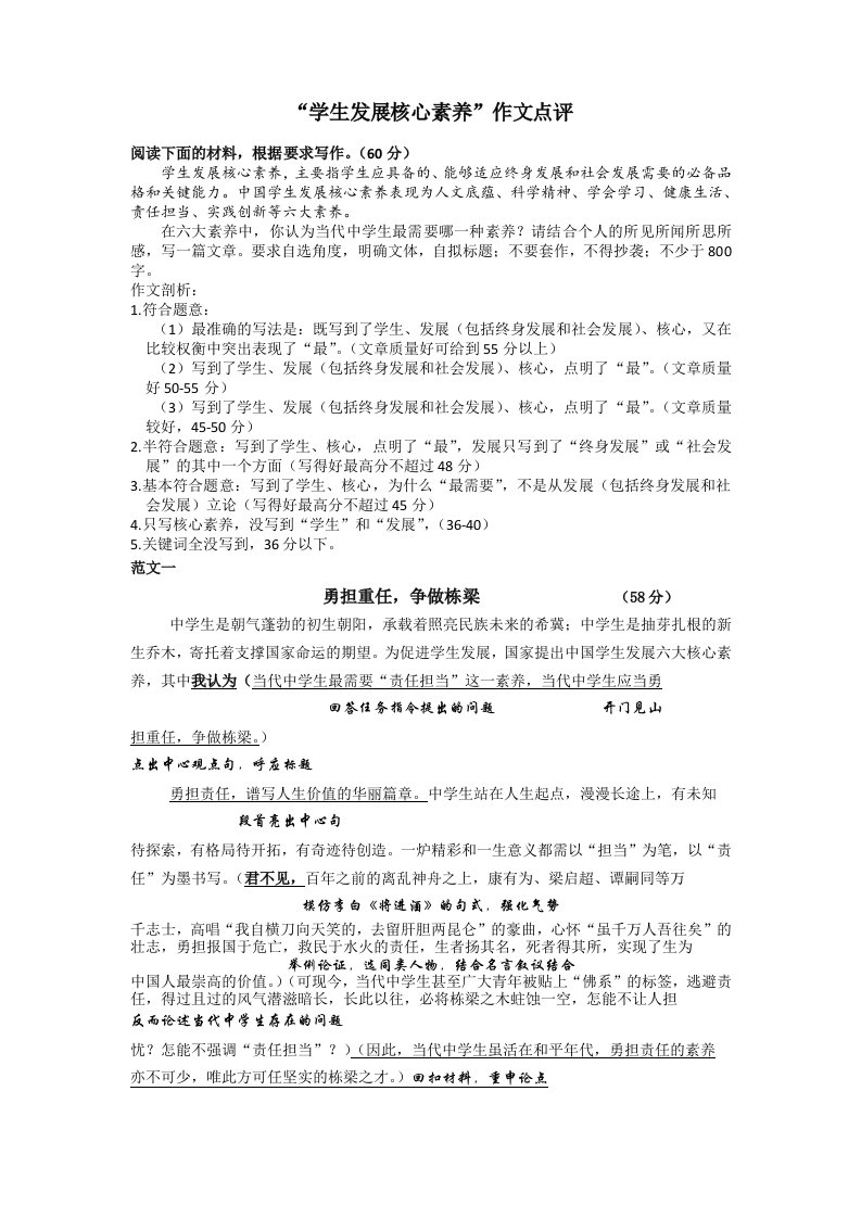 学生发展核心素养作文点评