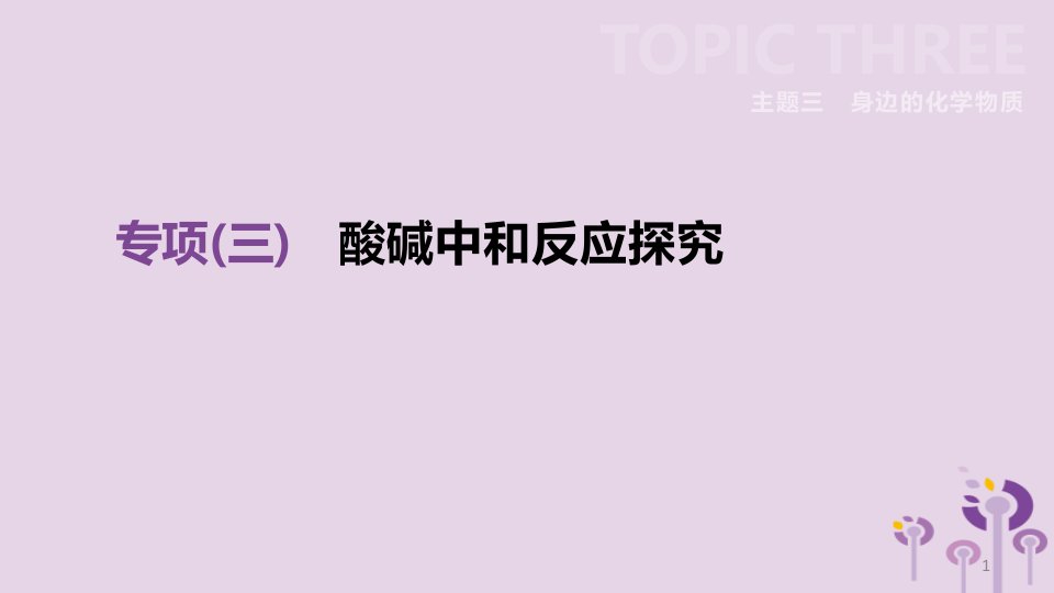 北京市中考化学总复习专项03酸碱中和反应探究ppt课件