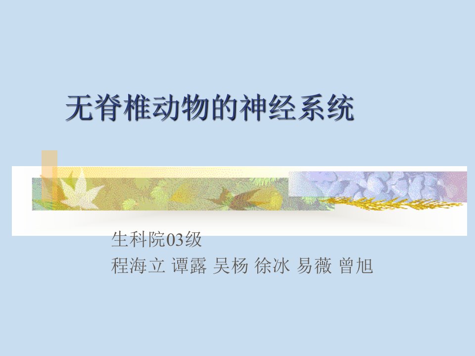 无脊椎动物的神经系统