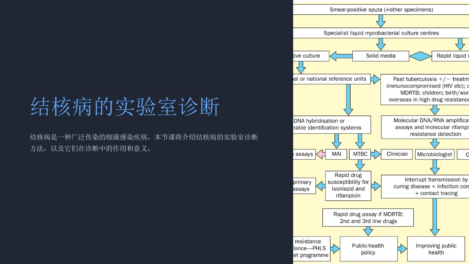 结核病的实验室诊断课件