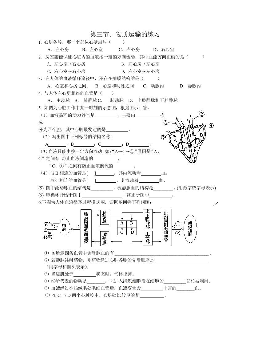 第三节　物质运输的途径