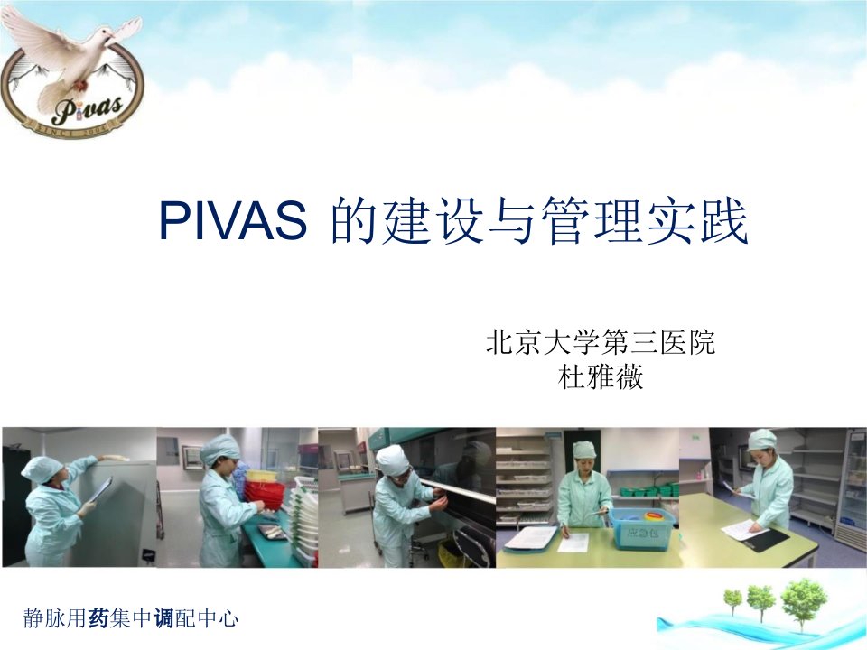 杜雅薇PIVAS的建设与管理实践课件