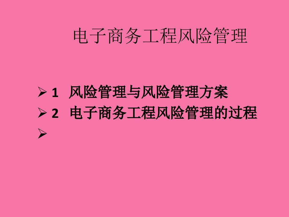 电子商务项目风险管理ppt课件