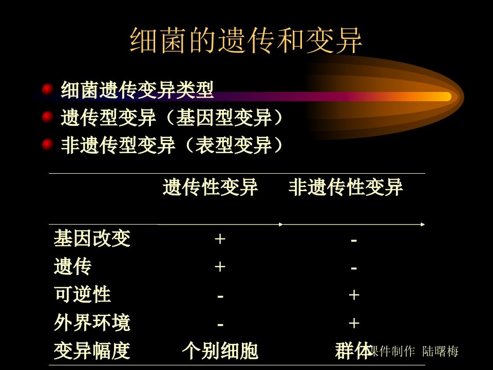 细菌的遗传和变异