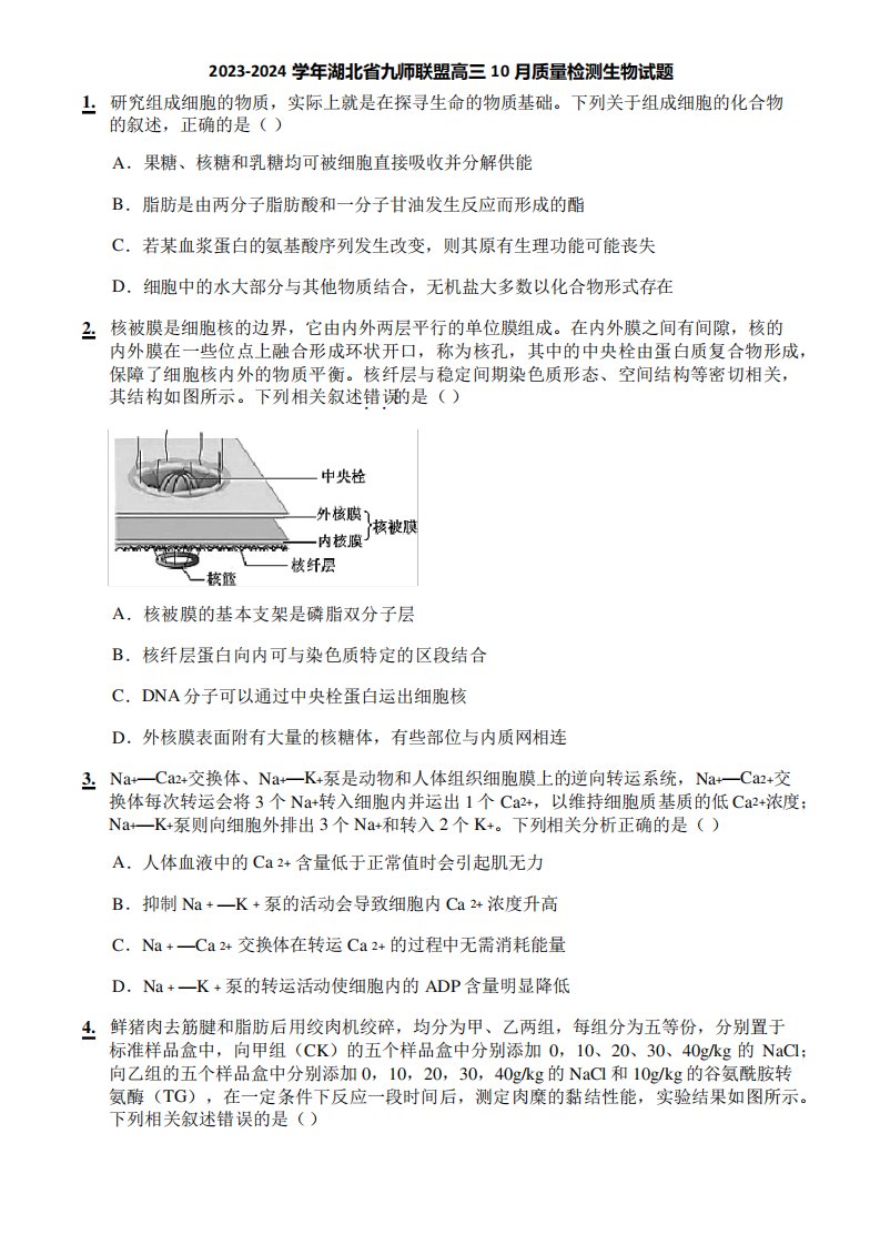 2023-2024学年湖北省九师联盟高三10月质量检测生物试题