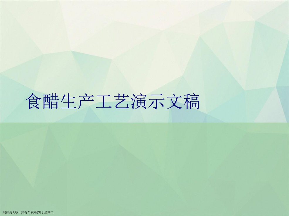 食醋生产工艺演示文稿