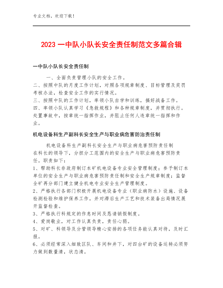 2023一中队小队长安全责任制范文多篇合辑