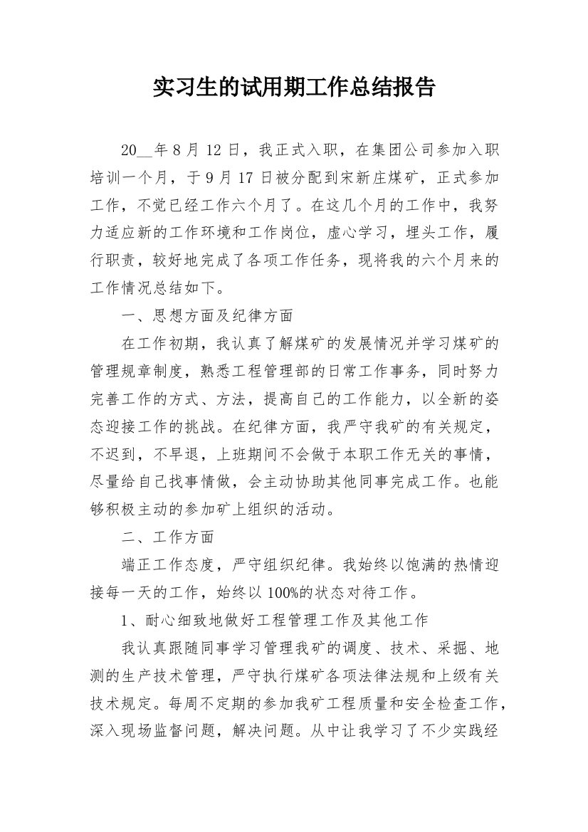 实习生的试用期工作总结报告