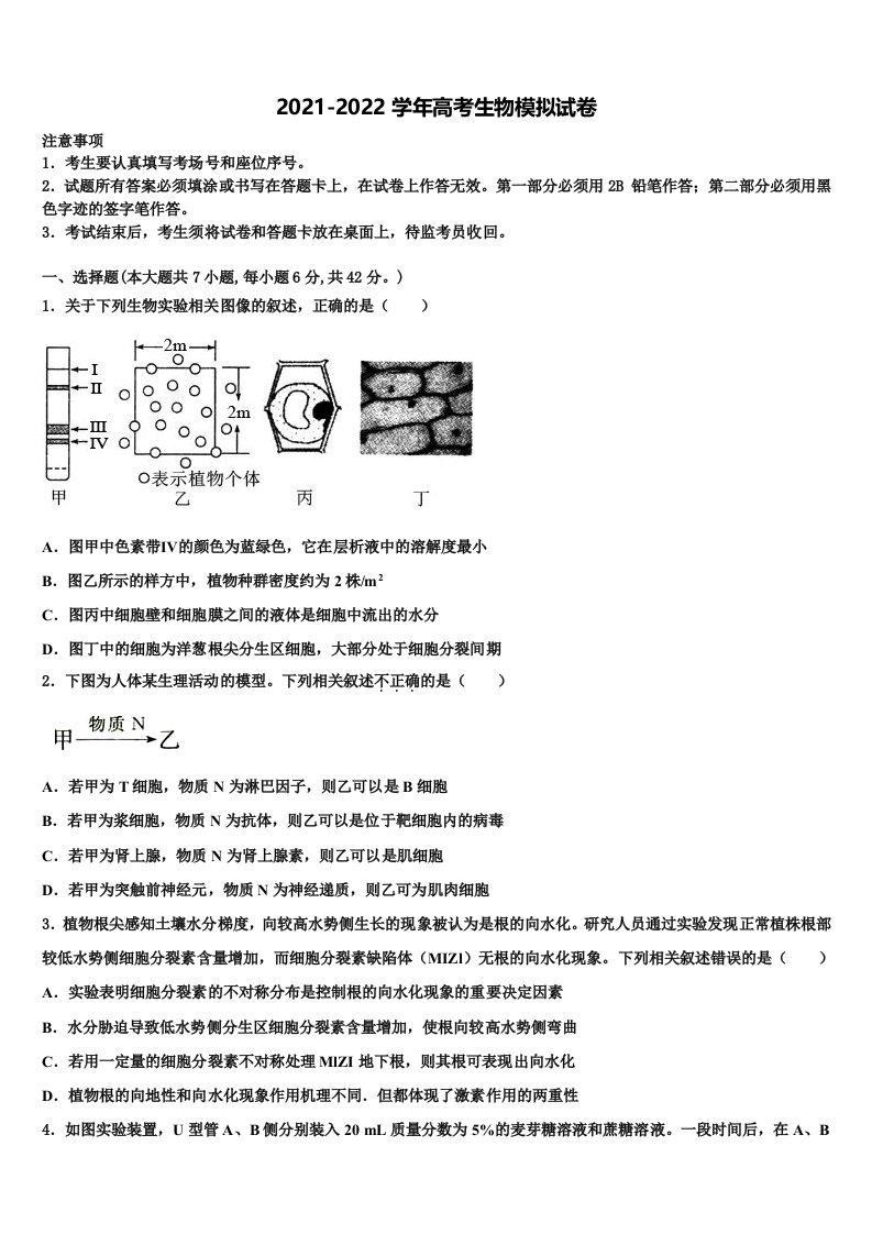 2022届河南省新乡市第一中学高三第六次模拟考试生物试卷含解析