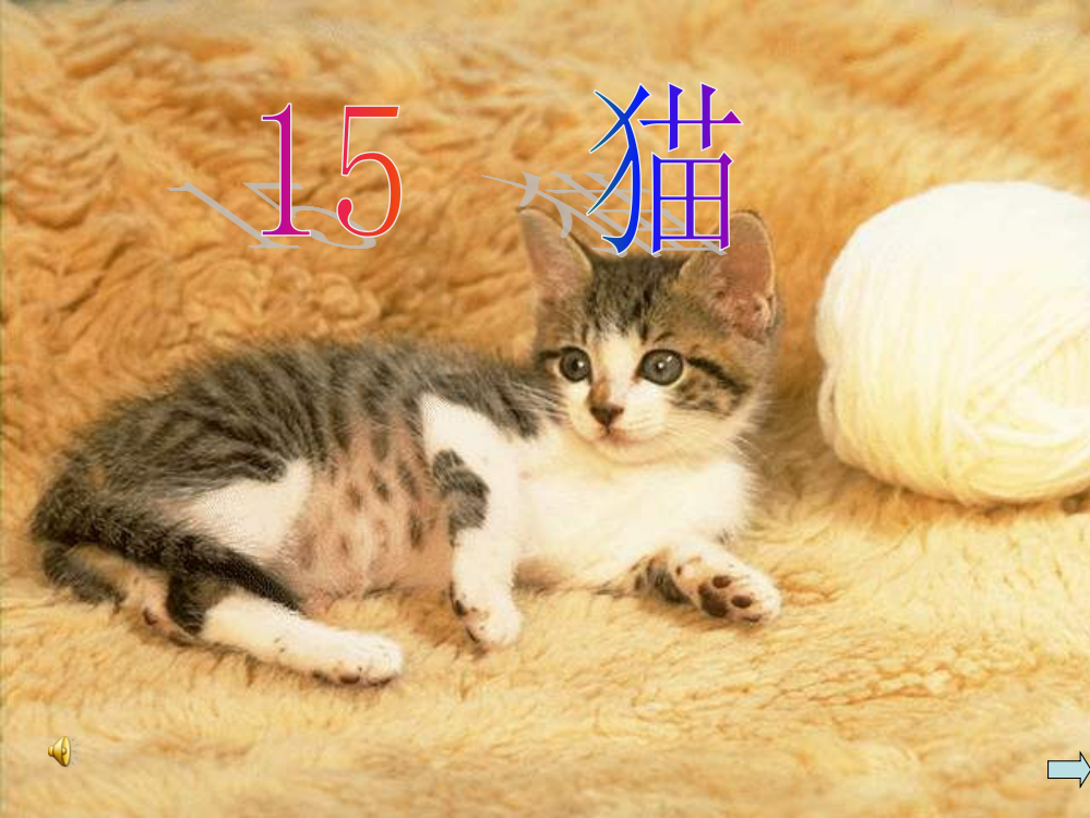 四年级语文上册第四组15猫课件