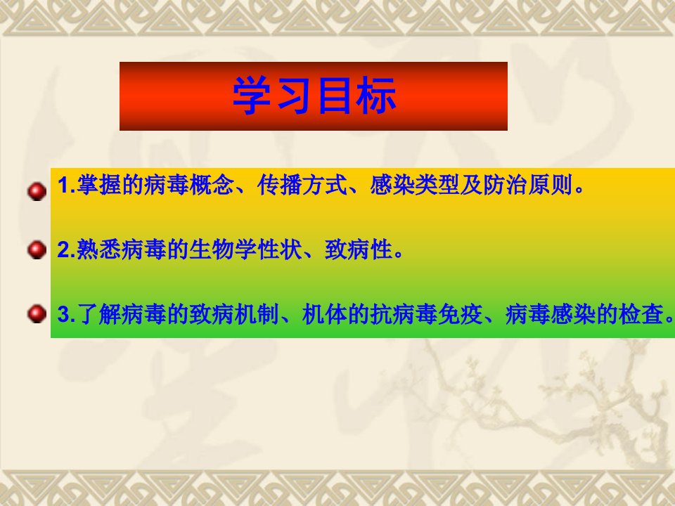 第六章病毒概论病原生物与免疫学基础中职课件