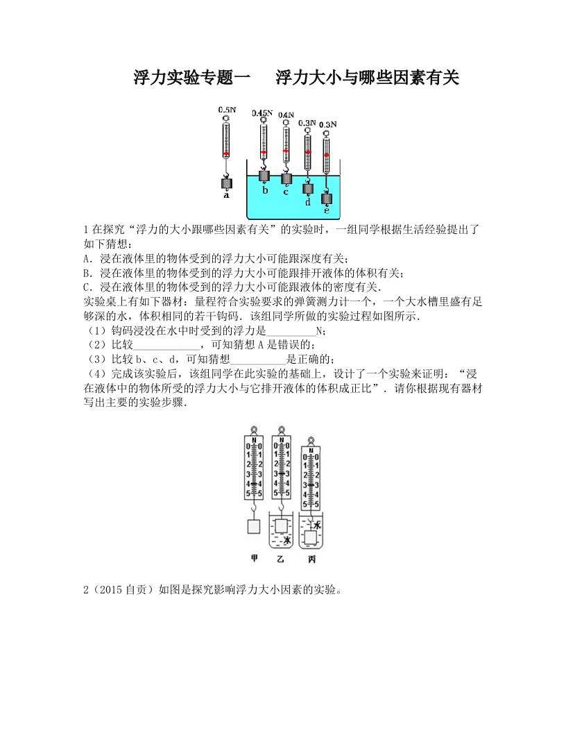 浮力实验专题一+++浮力大小与哪些因素有关