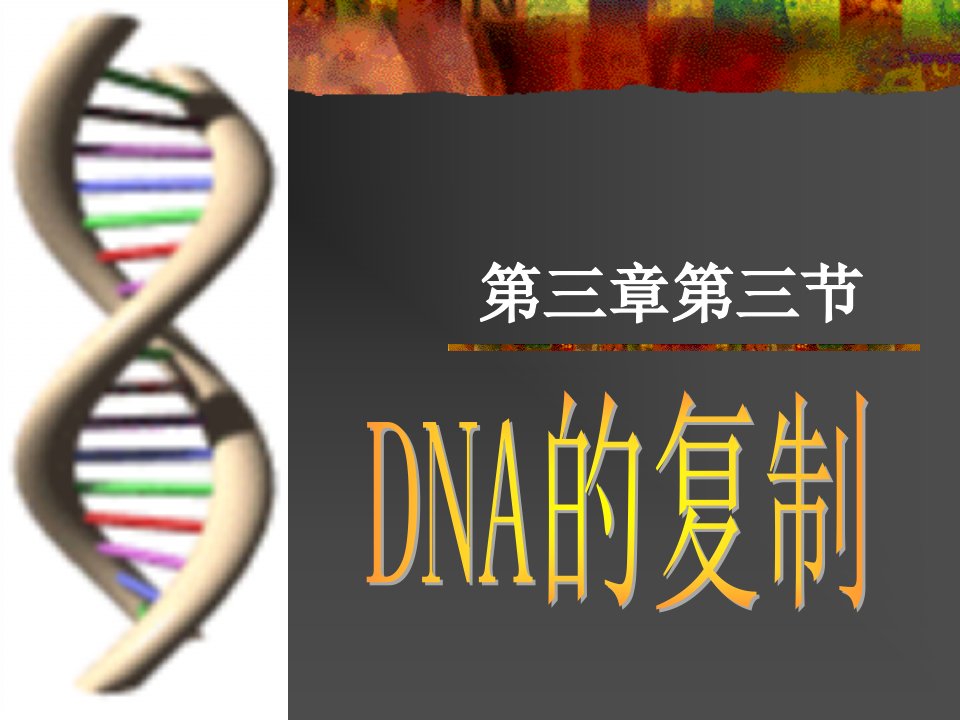 高中生物人教必修二分子的复制