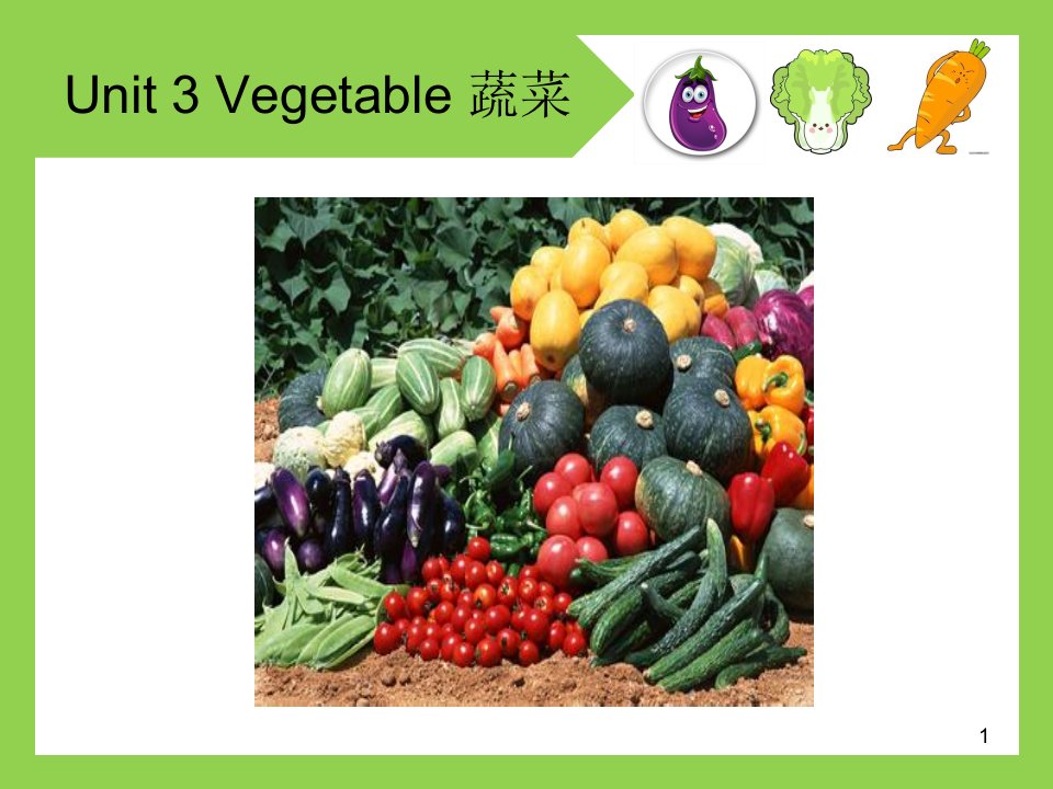 烹饪厨房英语unit-3-Vegetable课件