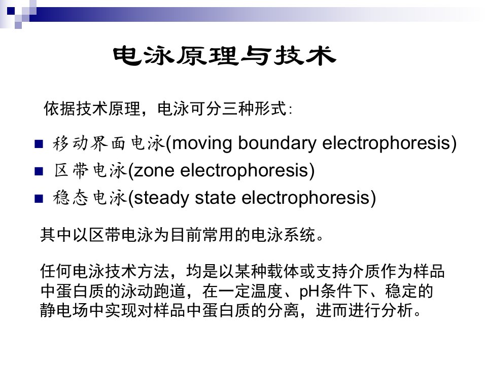 本科生生物化学实验电泳技术原理