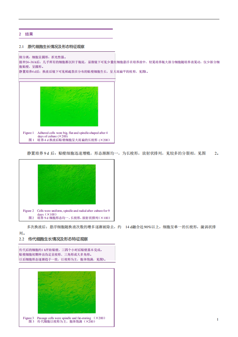 原代细胞生长情况及形态特征观察.