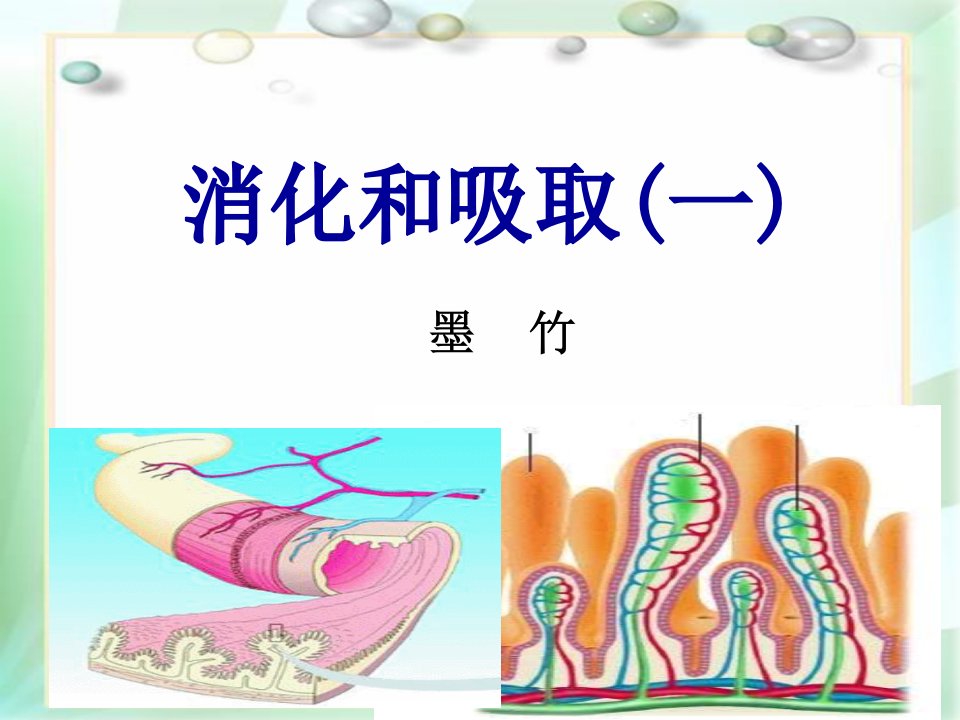 七年级生物下册消化和吸收复习完整课件市公开课一等奖市赛课获奖课件