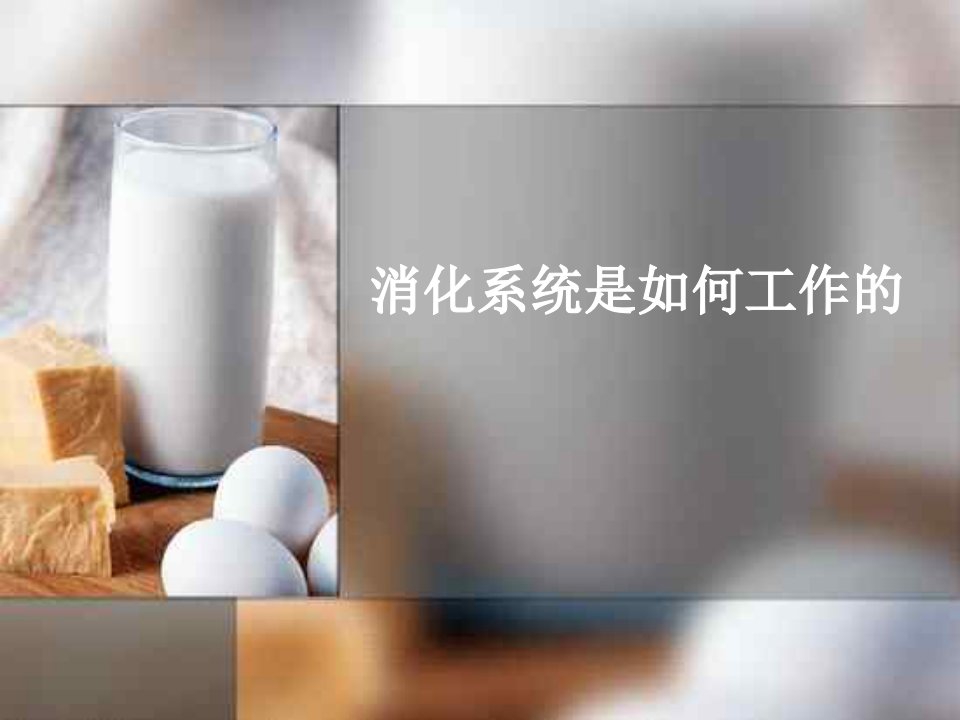 七年级科学消化系统