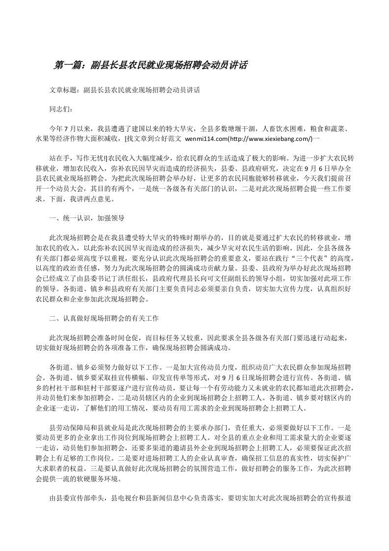 副县长县农民就业现场招聘会动员讲话[修改版]