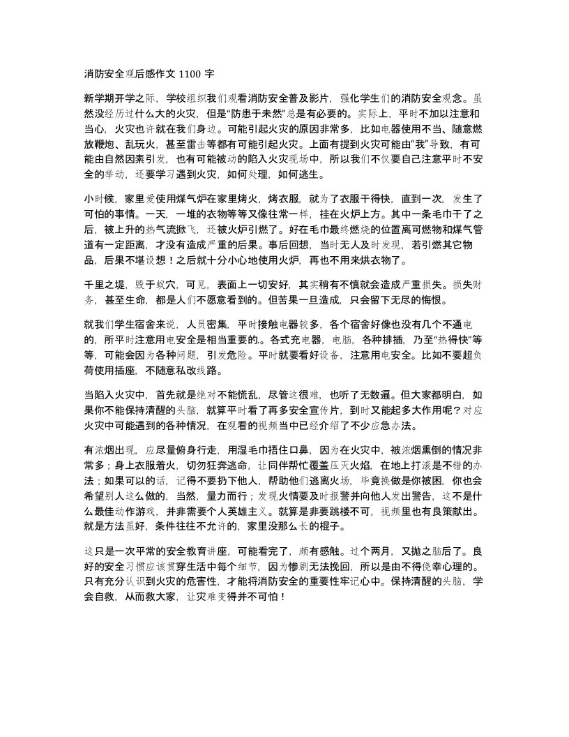 消防安全观后感作文1100字