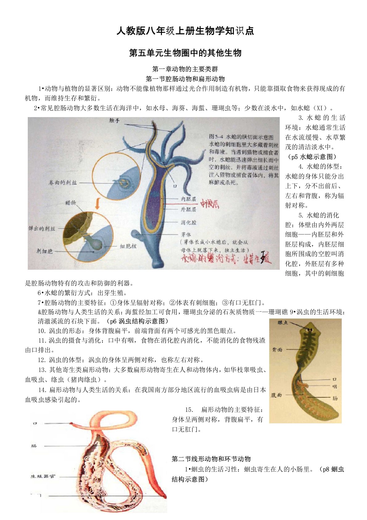 人教版八年级上册生物学知识点资料-共8页