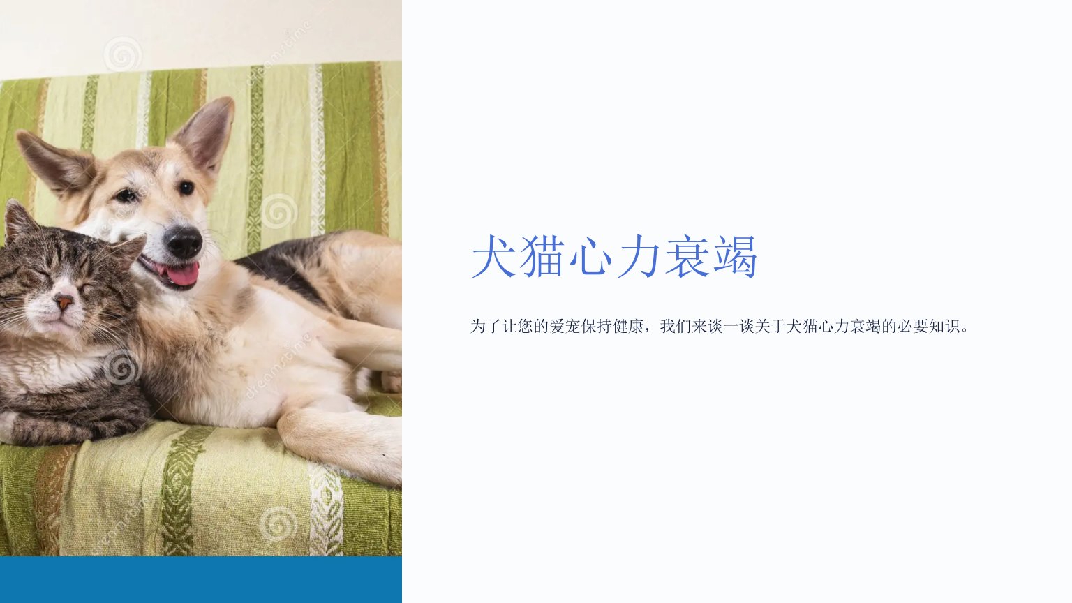 《犬猫心力衰竭》课件