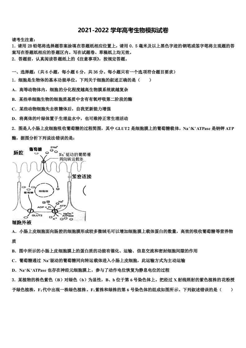 2022年福建省重点中学高三下学期第六次检测生物试卷含解析