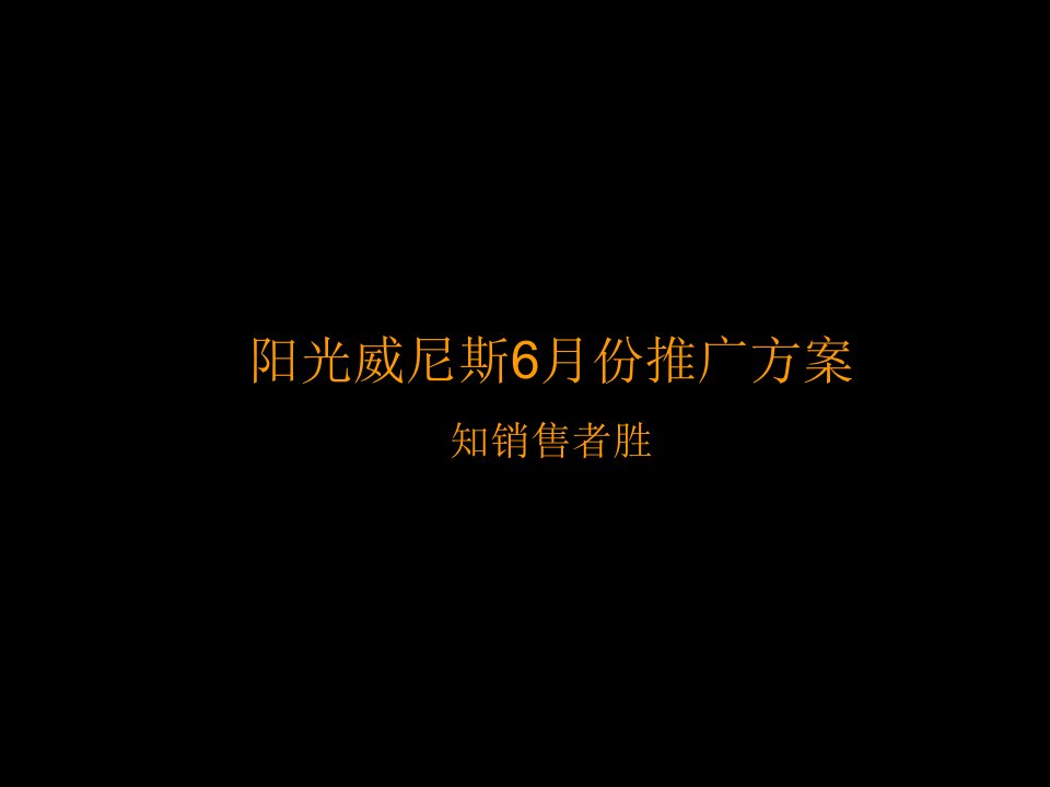 阳光威尼斯房地产项目推广方案