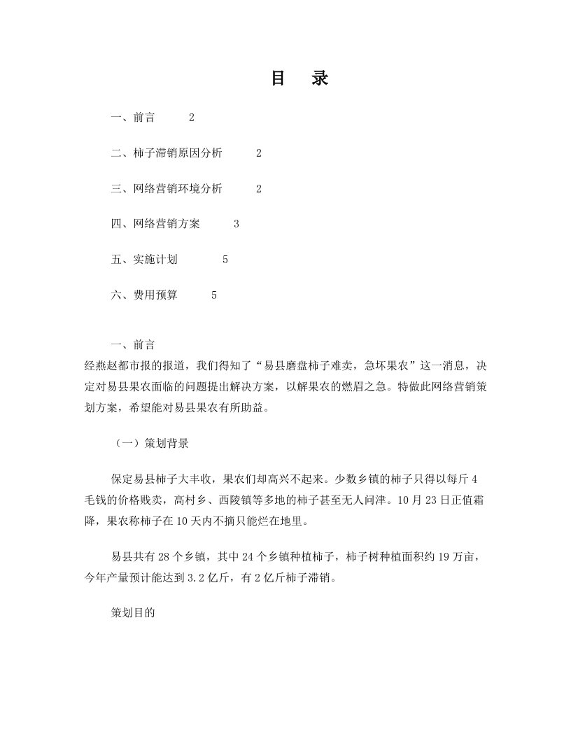 易县柿子网络营销策划方案