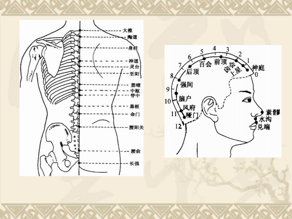 经络腧穴各论任督脉经外奇穴针灸学ppt课件南京中医药大学