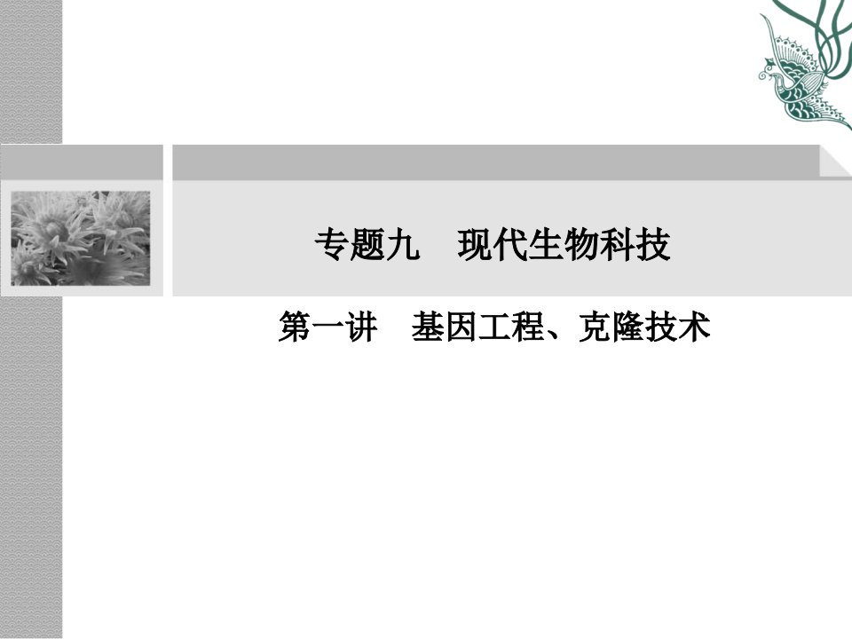 基因工程、克隆技术高考生物复习第1部分知识落实专题9第1讲课件