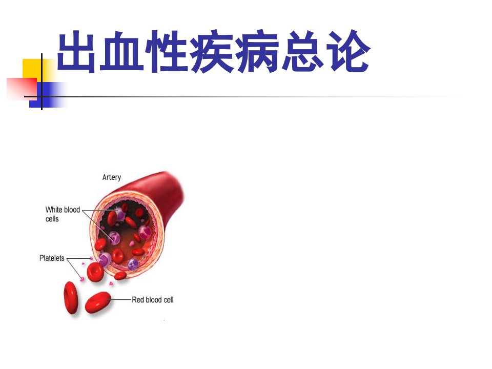 出血性疾病总论ppt课件