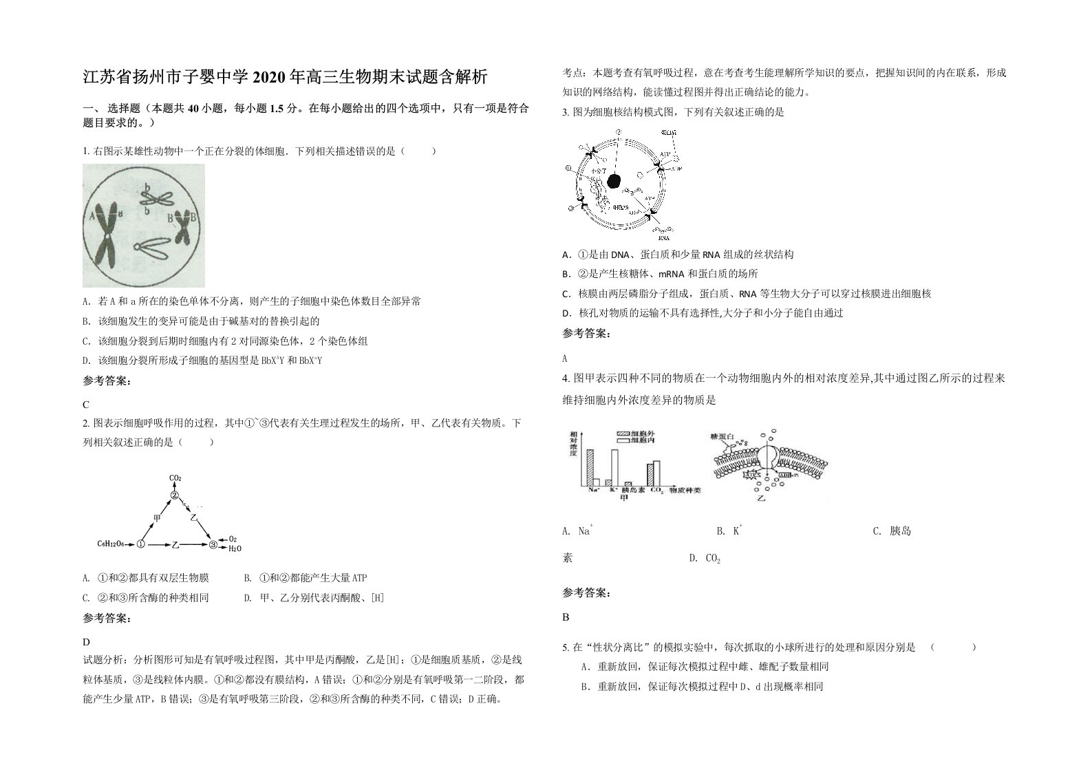 江苏省扬州市子婴中学2020年高三生物期末试题含解析