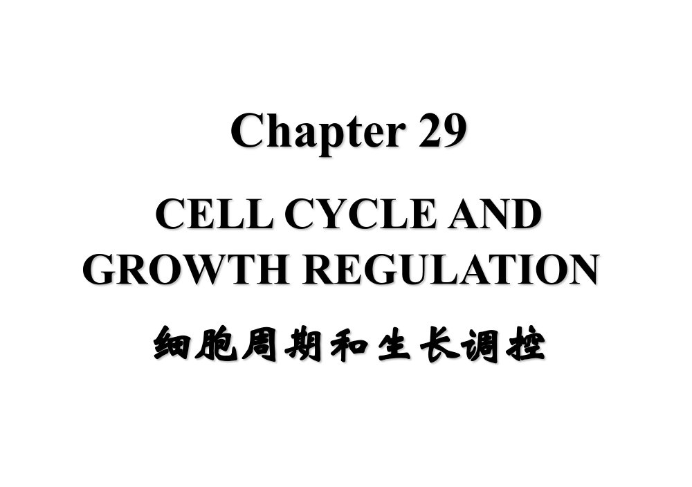 基础分子生物学29细胞周期和生长调控