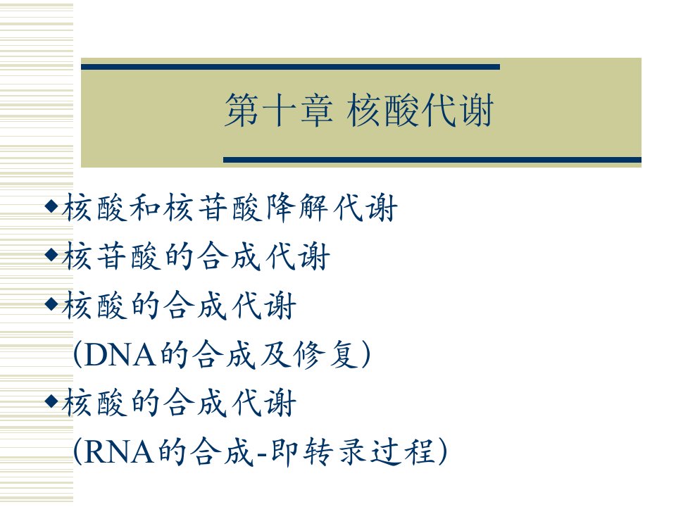 第十章核酸代谢2010