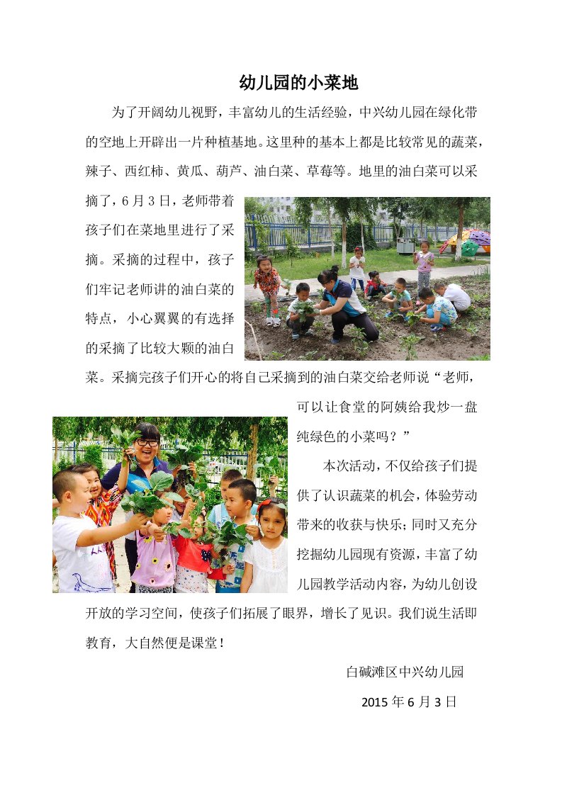 中兴幼儿园的小菜地