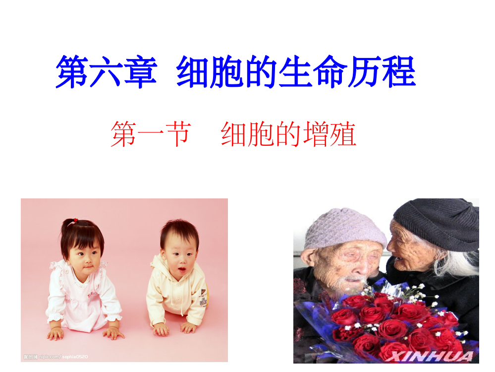 细胞的增殖上课ppt课件