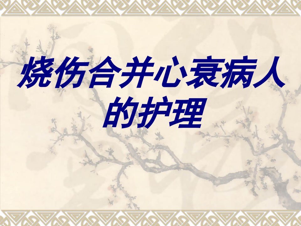 烧伤合并心衰病人的护理经典医学课件