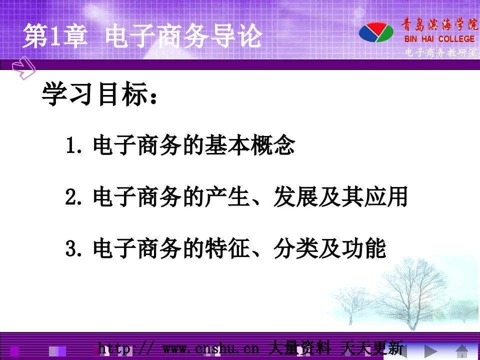 电子商务的基本特征PPT课件