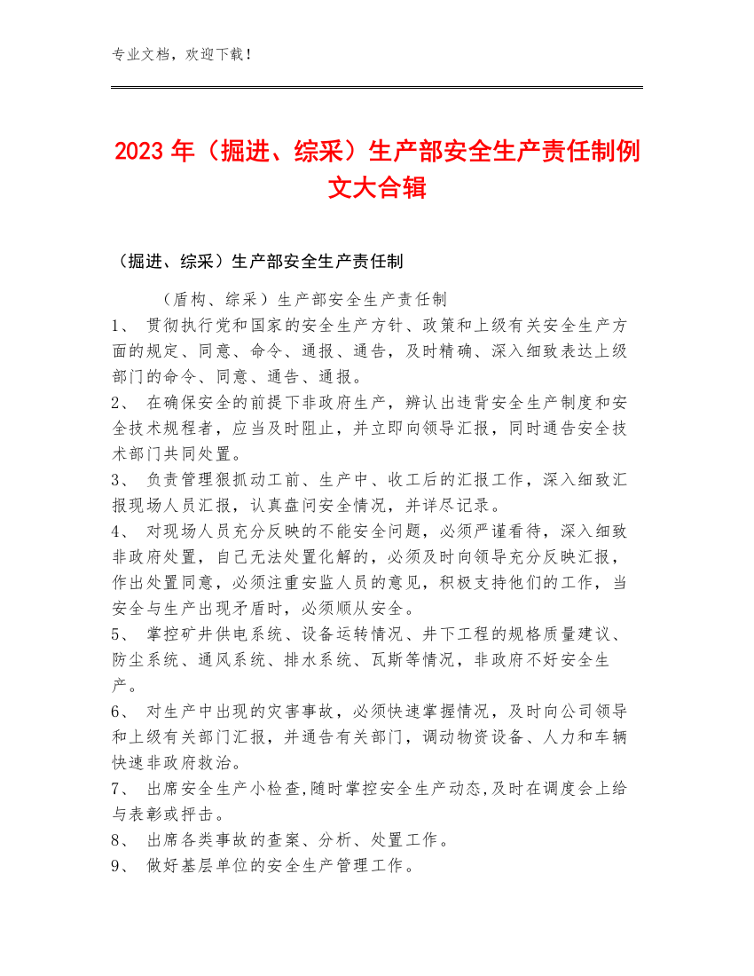 2023年（掘进、综采）生产部安全生产责任制例文大合辑