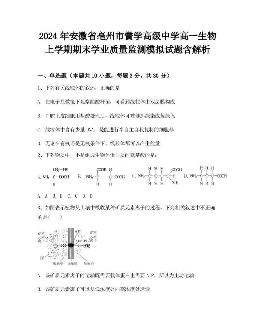 2024年安徽省亳州市黉学高级中学高一生物上学期期末学业质量监测模拟试题含解析