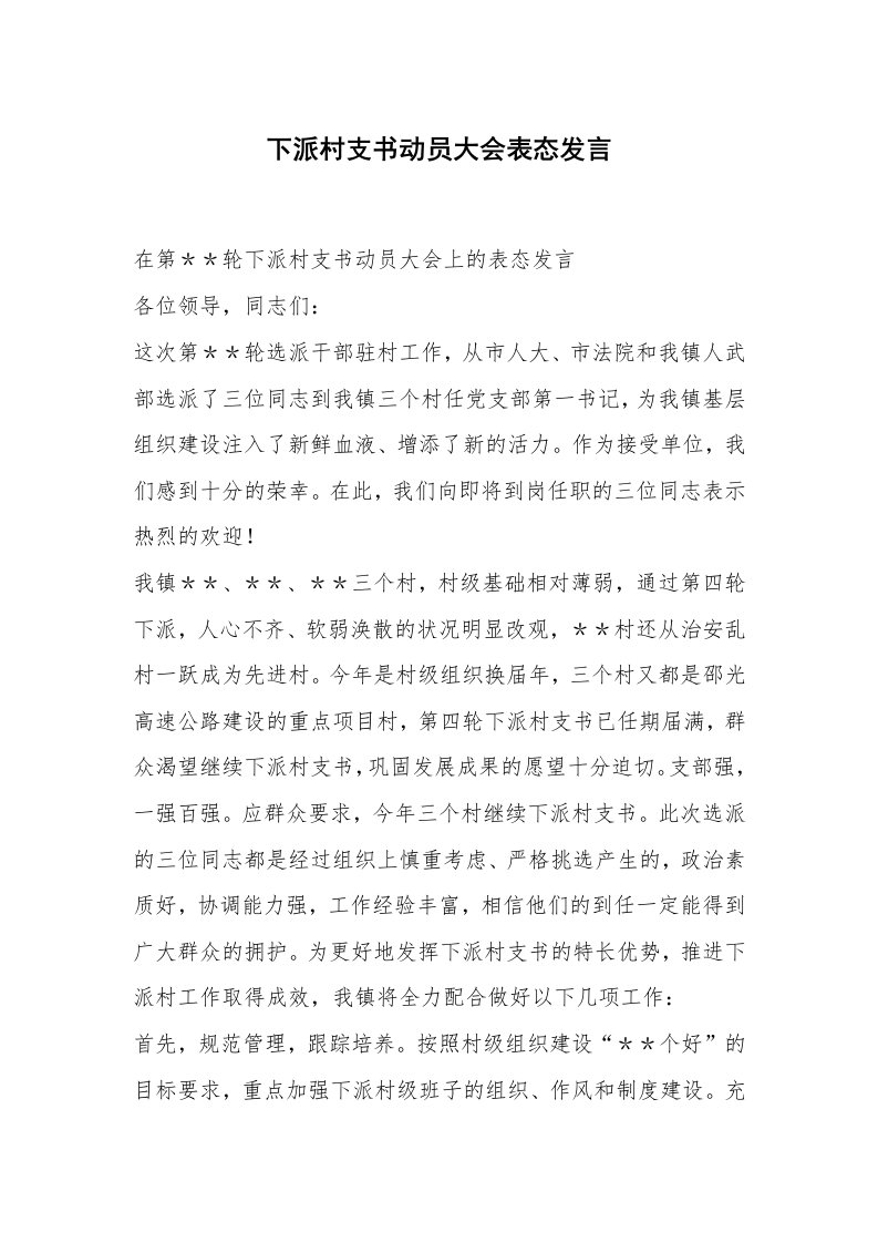 下派村支书动员大会表态发言