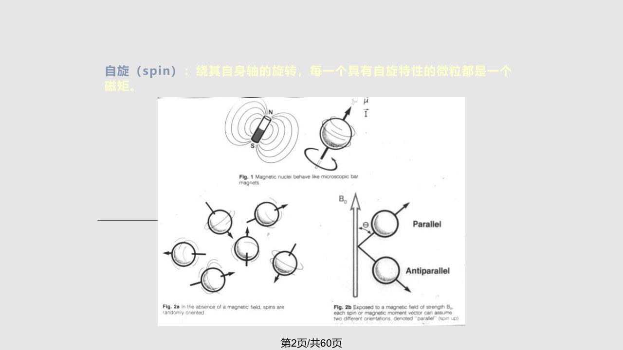 NMRI原理及临床应用创外