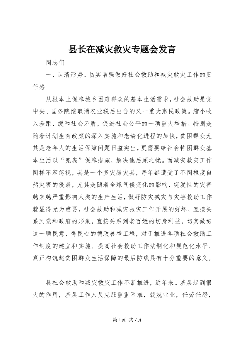 县长在减灾救灾专题会发言