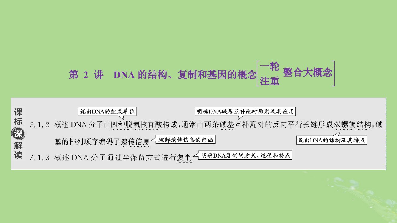 新课标2023版高考生物一轮总复习第六单元基因的本质和表达第2讲DNA的结构复制和基因的概念课件