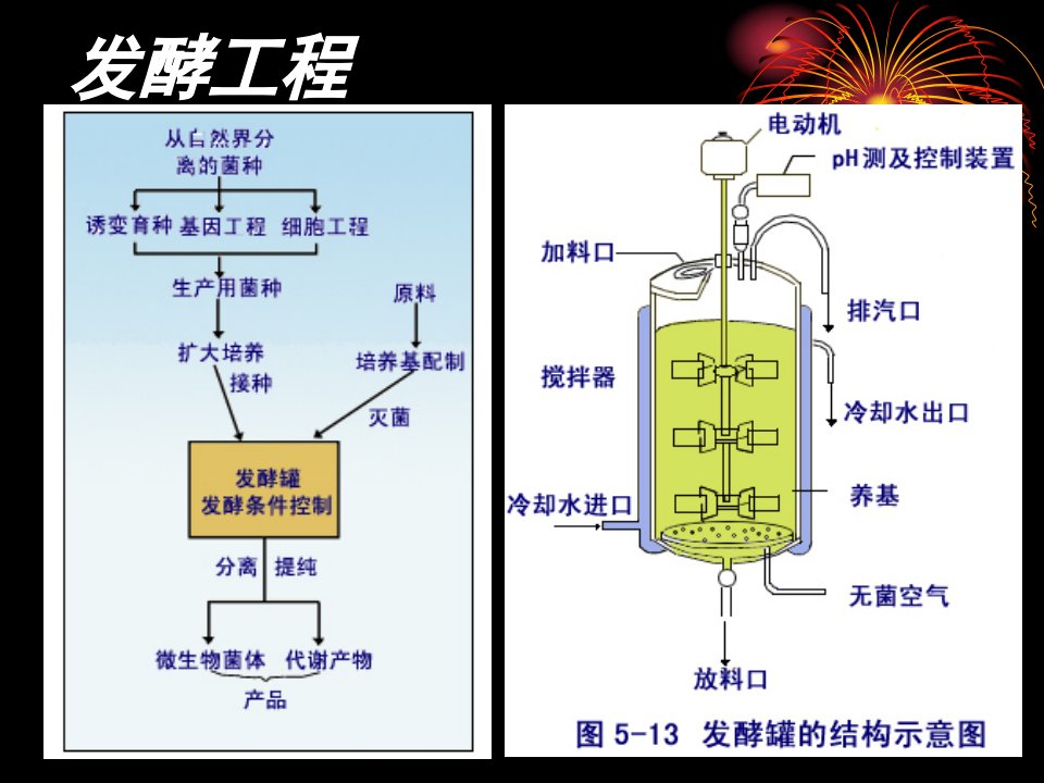 第五章