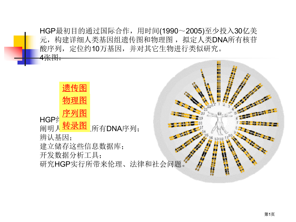 生物信息学生物信息学绪公开课一等奖优质课大赛微课获奖课件