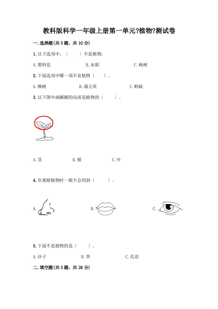 科学一年级上册第一单元《植物》测试卷附参考答案【B卷】